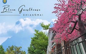 Bloom Guesthouse